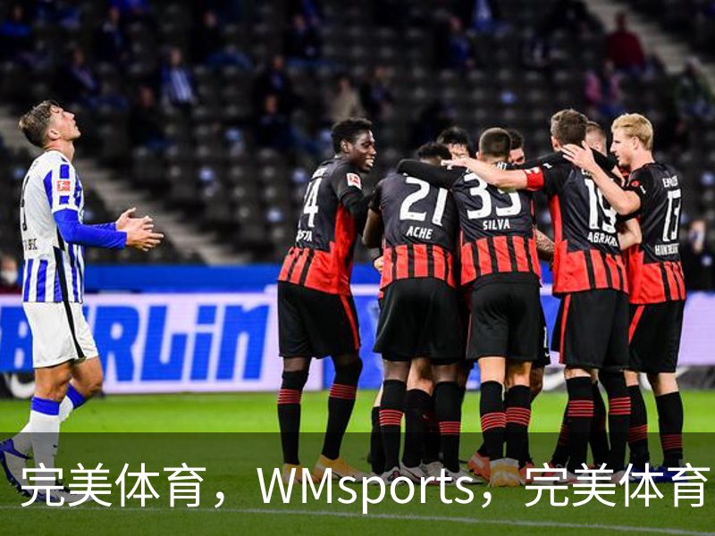 了解完美体育，WMsports，完美体育官方，完美体育平台，完美体育下载